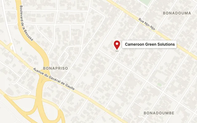 Map: Douala offices